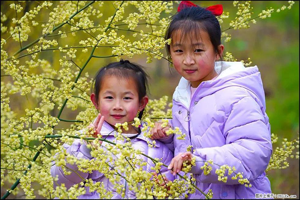 【春天,广西桂林灌阳县向您发出邀请!】米珠山前有片山苍子花在飘香 - 游山玩水 - 牡丹江生活社区 - 牡丹江28生活网 mdj.28life.net