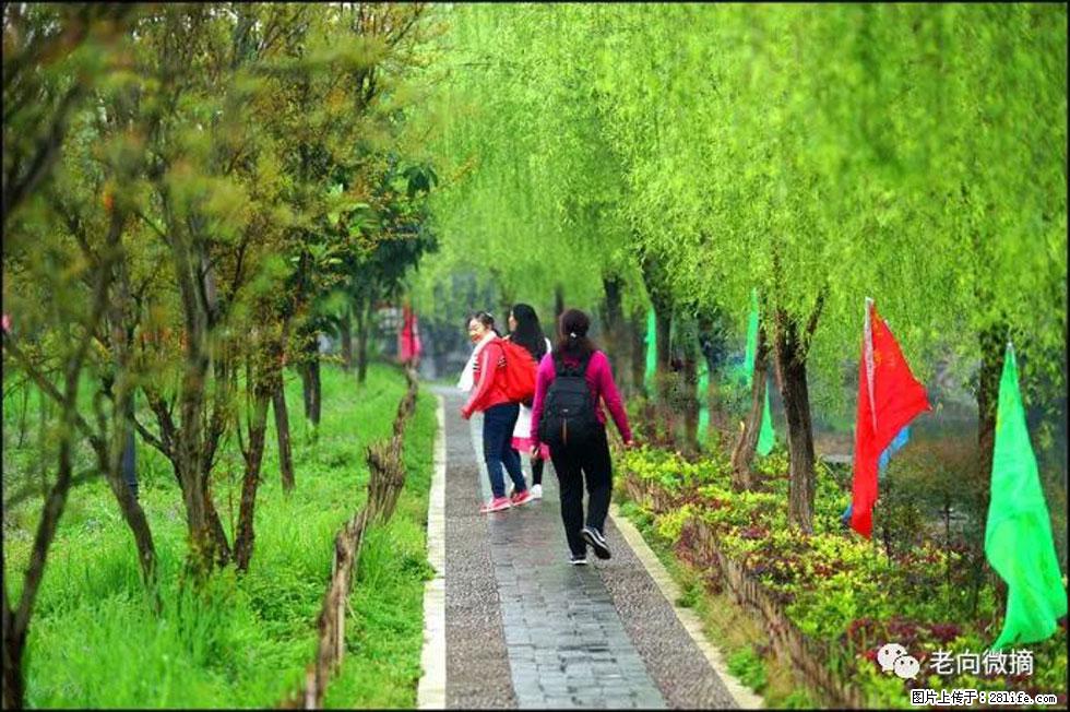 【春天,广西桂林灌阳县向您发出邀请!】江口老街又逢春 - 游山玩水 - 牡丹江生活社区 - 牡丹江28生活网 mdj.28life.net