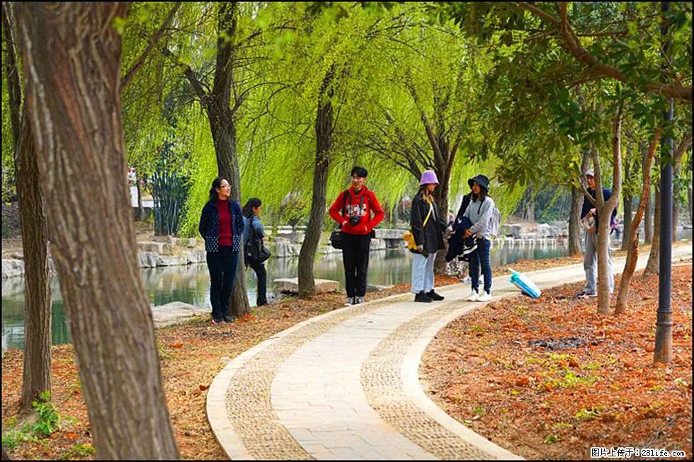 【春天,广西桂林灌阳县向您发出邀请!】江口老街又逢春 - 游山玩水 - 牡丹江生活社区 - 牡丹江28生活网 mdj.28life.net