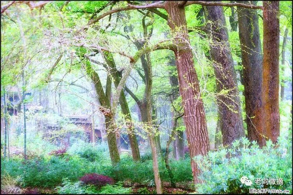 【春天,广西桂林灌阳县向您发出邀请!】在小龙村与春天约会 - 游山玩水 - 牡丹江生活社区 - 牡丹江28生活网 mdj.28life.net