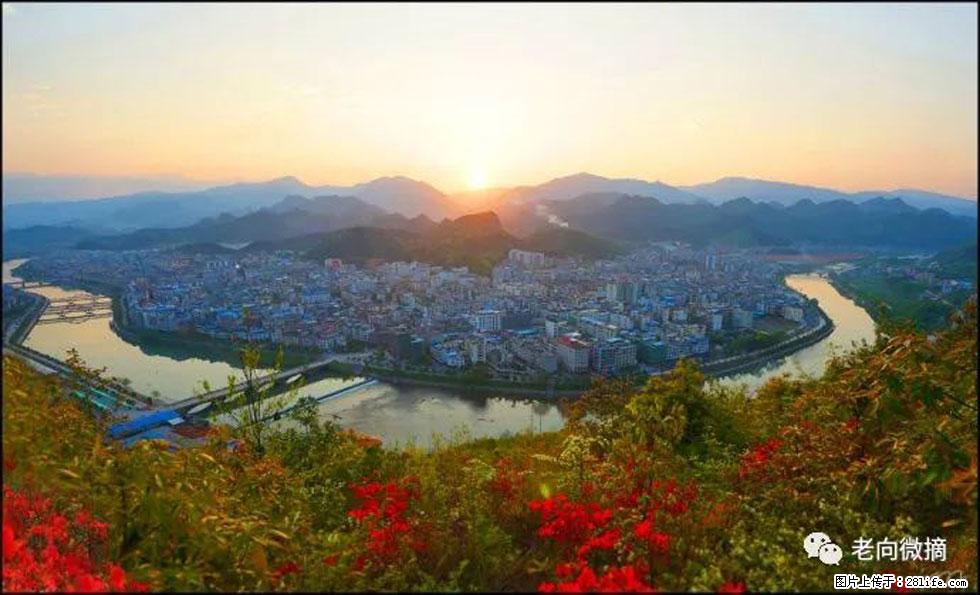 【春天，广西桂林灌阳县向您发出邀请！】登麒麟山，相约映山红 - 游山玩水 - 牡丹江生活社区 - 牡丹江28生活网 mdj.28life.net