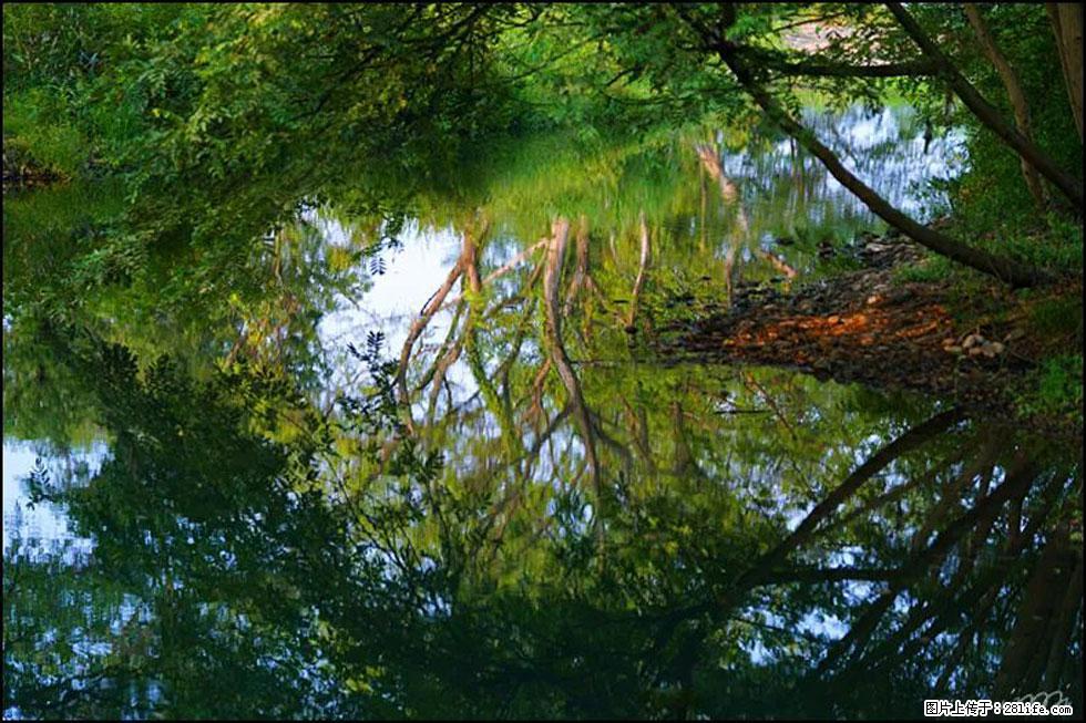 【春天，广西桂林灌阳县向您发出邀请！】熊家寨湿地公园 - 游山玩水 - 牡丹江生活社区 - 牡丹江28生活网 mdj.28life.net
