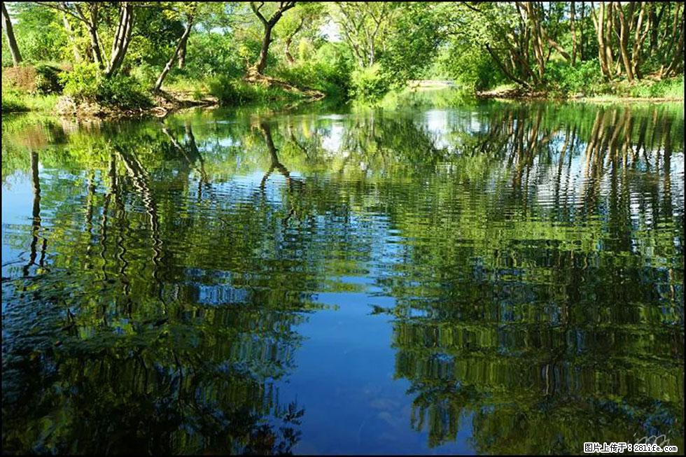 【春天，广西桂林灌阳县向您发出邀请！】熊家寨湿地公园 - 游山玩水 - 牡丹江生活社区 - 牡丹江28生活网 mdj.28life.net