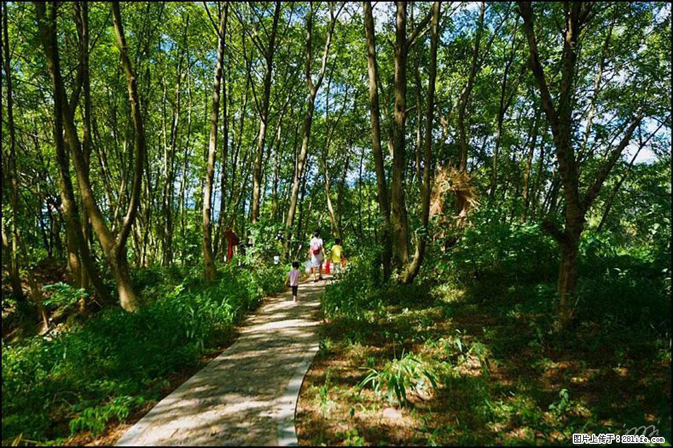 【春天，广西桂林灌阳县向您发出邀请！】熊家寨湿地公园 - 游山玩水 - 牡丹江生活社区 - 牡丹江28生活网 mdj.28life.net