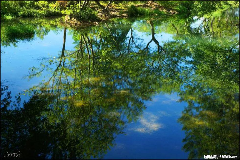【春天，广西桂林灌阳县向您发出邀请！】熊家寨湿地公园 - 游山玩水 - 牡丹江生活社区 - 牡丹江28生活网 mdj.28life.net