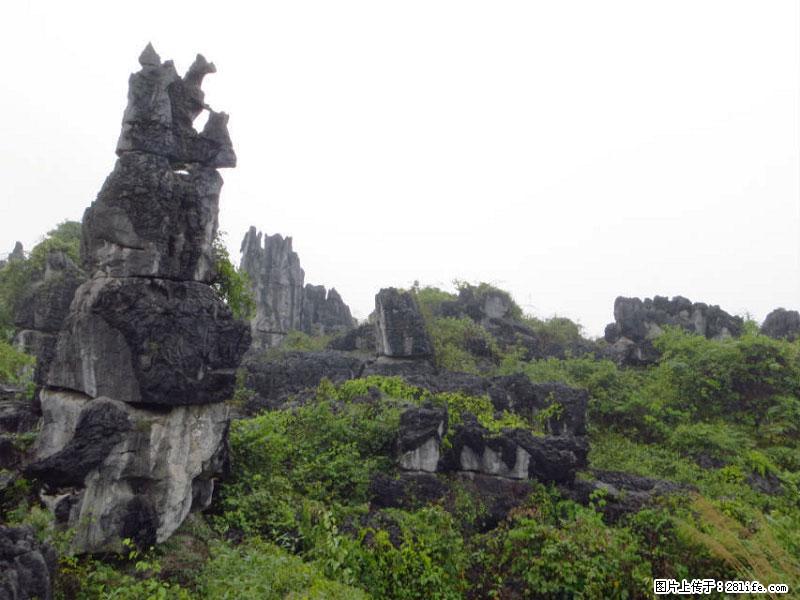 桂林旅游名城景点：灌阳文市石林 - 游山玩水 - 牡丹江生活社区 - 牡丹江28生活网 mdj.28life.net