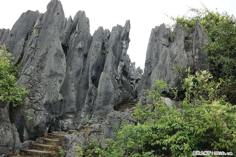 桂林旅游名城景点：灌阳文市石林 - 游山玩水 - 牡丹江生活社区 - 牡丹江28生活网 mdj.28life.net