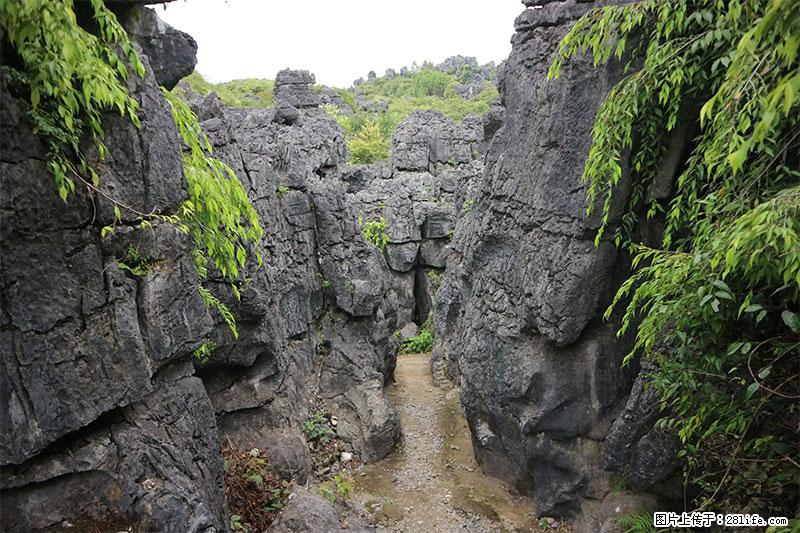 桂林旅游名城景点：灌阳文市石林 - 游山玩水 - 牡丹江生活社区 - 牡丹江28生活网 mdj.28life.net