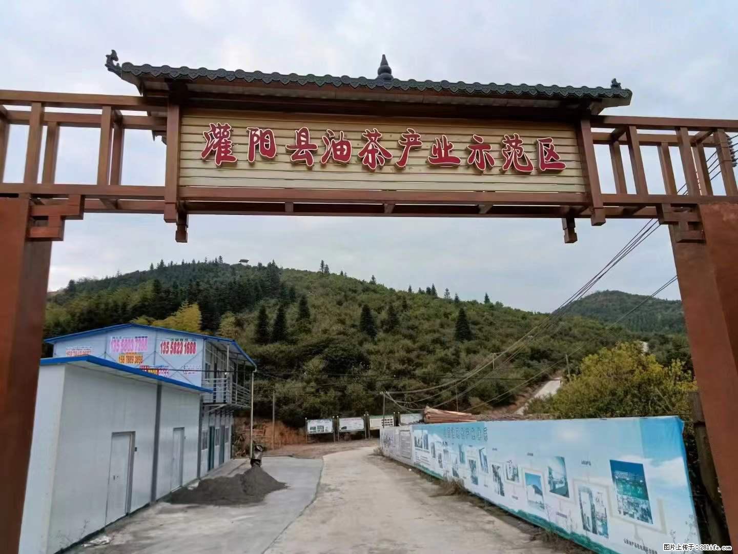 【灌阳县油茶产业示范区】一个有着充实的精神生活的人，对待身外之物自会有一种淡泊的态度 - 美食天地 - 牡丹江生活社区 - 牡丹江28生活网 mdj.28life.net