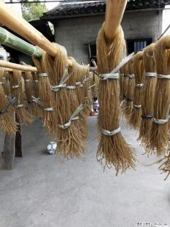 【灌阳正宗红薯粉】美女家里自己做的，干净卫生，假一赔十，价格合理，抢购电话：13737312895 - 牡丹江28生活网 mdj.28life.net