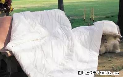 被子有异味?只要这样做,比晒太阳还强100倍! - 家居生活 - 牡丹江生活社区 - 牡丹江28生活网 mdj.28life.net