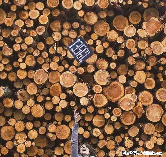 辞掉工作周游世界？现在他们在洗厕所…… - 游山玩水 - 牡丹江生活社区 - 牡丹江28生活网 mdj.28life.net
