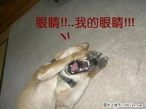 笑癫了！一女的怀孕三年未生，他终于忍不住了... - 娱乐八卦 - 牡丹江生活社区 - 牡丹江28生活网 mdj.28life.net
