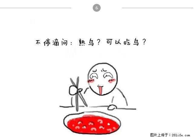 千万不要和这9种哈卵一起吃火锅！ - 美食天地 - 牡丹江生活社区 - 牡丹江28生活网 mdj.28life.net