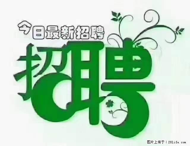 【招聘摄像师】待遇：试用期6000元/月，转正7000元/月+五险一金+餐补+节日福利+奖金 - 其他招聘信息 - 招聘求职 - 牡丹江分类信息 - 牡丹江28生活网 mdj.28life.net