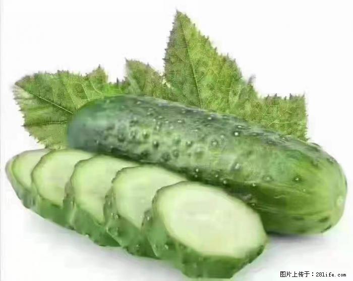 【生活小常识】吃黄瓜的好处 - 生活百科 - 牡丹江生活社区 - 牡丹江28生活网 mdj.28life.net