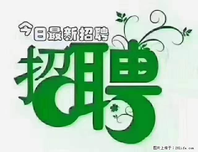 上海青浦区招仓管 - 职场交流 - 牡丹江生活社区 - 牡丹江28生活网 mdj.28life.net