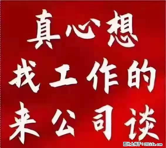 【上海】国企，医院招两名男保安，55岁以下，身高1.7米以上，无犯罪记录不良嗜好 - 职场交流 - 牡丹江生活社区 - 牡丹江28生活网 mdj.28life.net