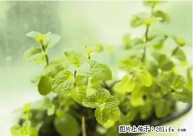 晕车、脚气、牙齿变黄、皮肤粗糙?学会这些三分钟搞定! - 牡丹江生活资讯 - 牡丹江28生活网 mdj.28life.net