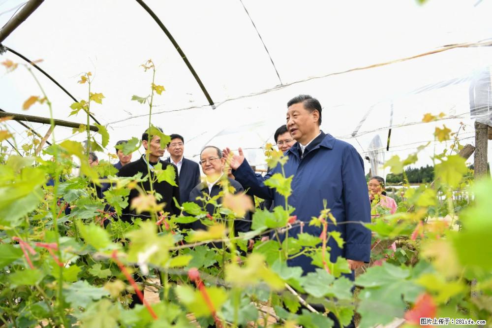 习近平赴广西考察调研 - 牡丹江生活资讯 - 牡丹江28生活网 mdj.28life.net