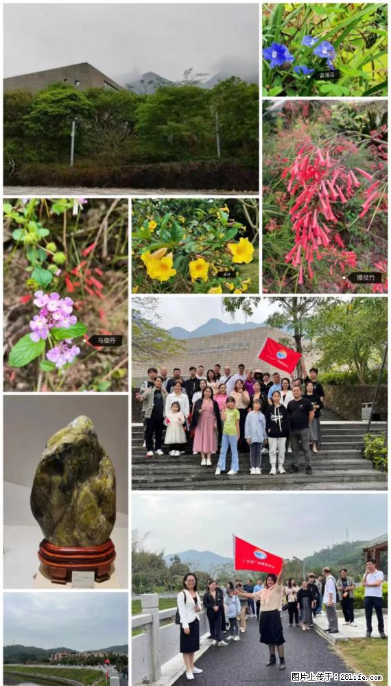 “粤灌文化 美好生活”油茶文化主题活动在广东深圳成功举办 - 牡丹江生活资讯 - 牡丹江28生活网 mdj.28life.net