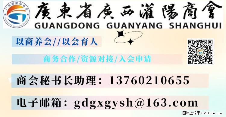 “粤灌文化 美好生活”油茶文化主题活动在广东深圳成功举办 - 牡丹江生活资讯 - 牡丹江28生活网 mdj.28life.net
