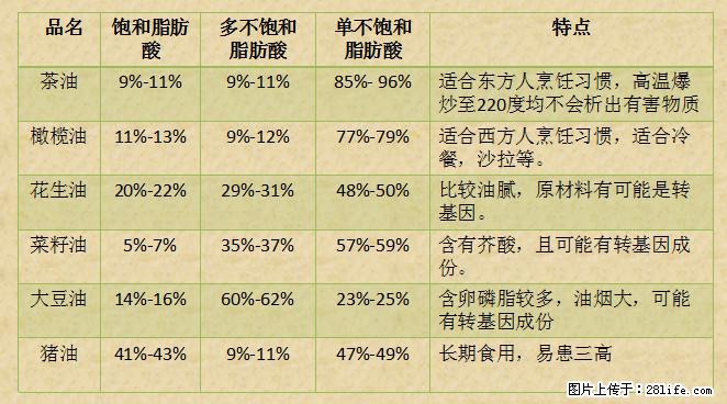 揭秘茶油的5大核心营养成分！被称为人体健康的“守护盾”！ - 牡丹江生活资讯 - 牡丹江28生活网 mdj.28life.net