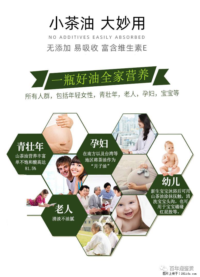 世界没有真相，只有认知，最好的食用油是中国的山茶油！ - 牡丹江生活资讯 - 牡丹江28生活网 mdj.28life.net