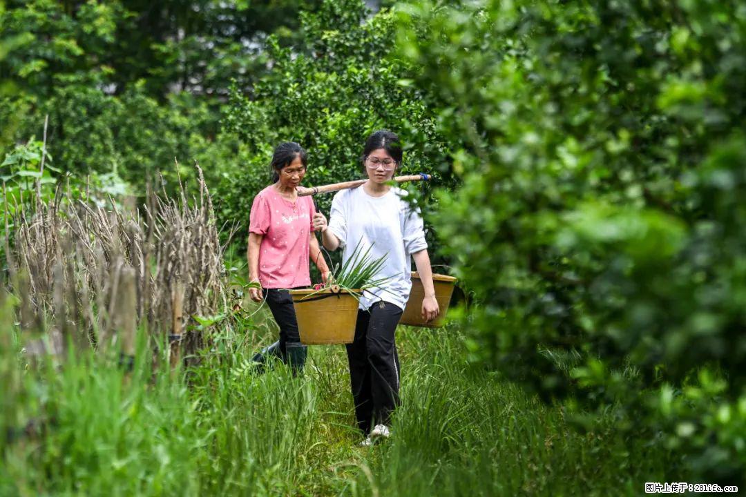 全网追的“扁担女孩”，找了一份暑假工，时薪12元 - 牡丹江生活资讯 - 牡丹江28生活网 mdj.28life.net