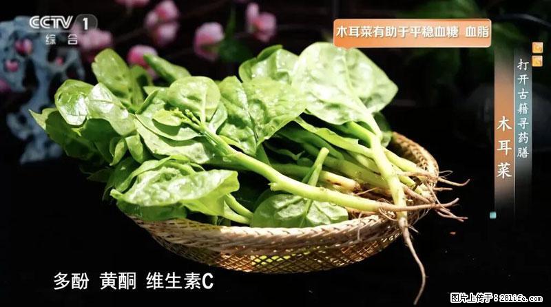 比牛奶补钙还厉害！凉血解毒、稳血糖...这菜冬天必吃，很多人却当草 - 牡丹江生活资讯 - 牡丹江28生活网 mdj.28life.net