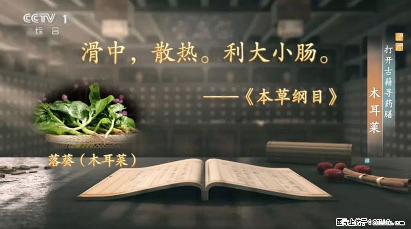 比牛奶补钙还厉害！凉血解毒、稳血糖...这菜冬天必吃，很多人却当草 - 牡丹江生活资讯 - 牡丹江28生活网 mdj.28life.net